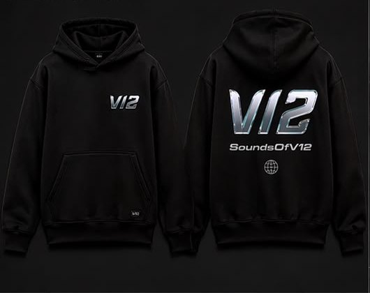 01 · V12 Chrome Hoodie